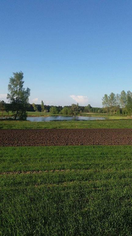 Gospodarstwo Agroturystyczne Zakatek Dabie  Екстер'єр фото